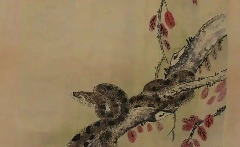 秒没！蛇钞蛇币难买上热搜！