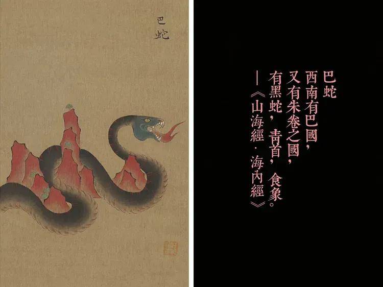 买不到，根本买不到！蛇钞蛇币难买上热搜