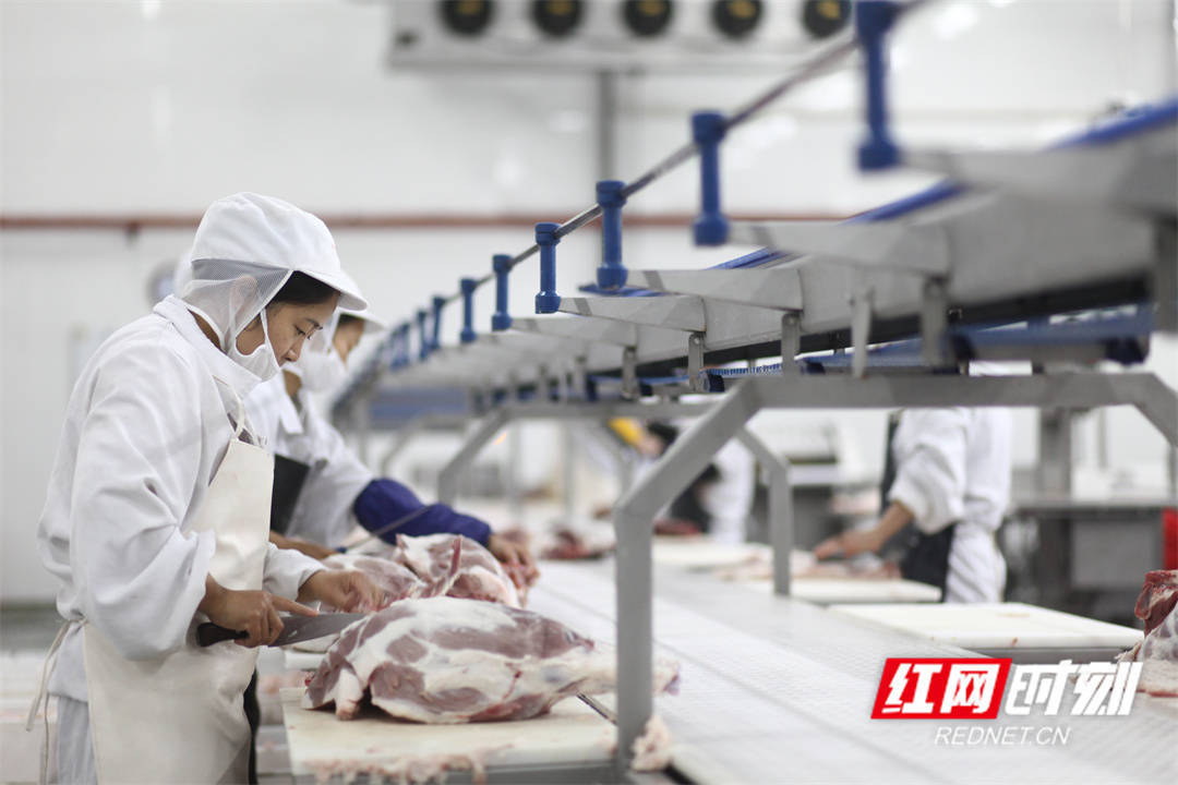 强链、补链、延链——湖南肉类加工业靠啥破势出圈？