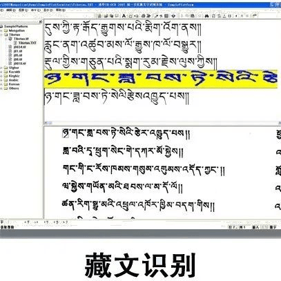 五十六个名族是一家人民币主币竟然还有这几种文字！