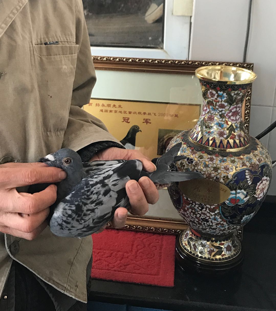 恒顺黄金贵金属(金顺和恒顺是一家厂吗)
