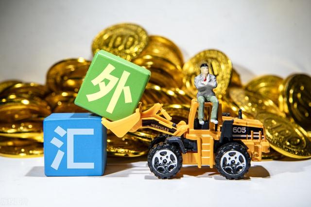 贵金属外汇投资(贵金属外汇投资平台)