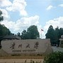 贵大贵金属(贵大贵金属有限公司)