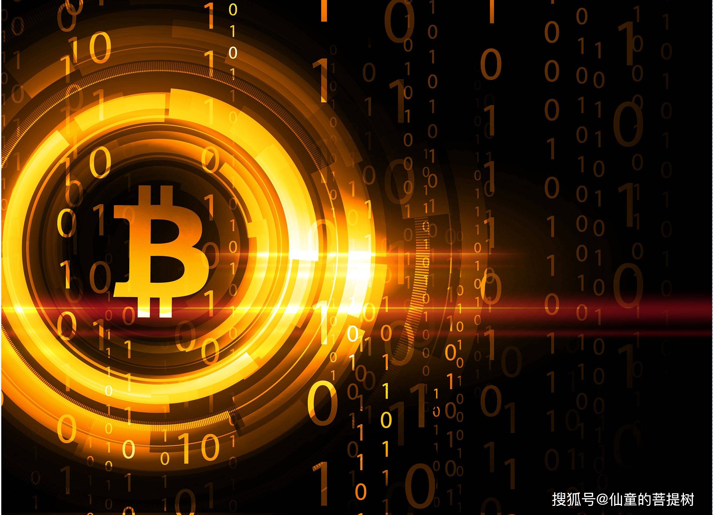 数字货币市场信息(数字货币市场信息披露平台)