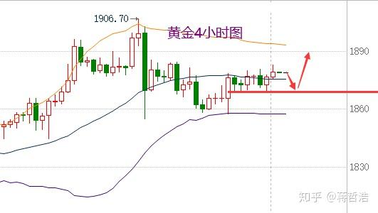 黄金贵金属走势(黄金贵金属走势分析图)