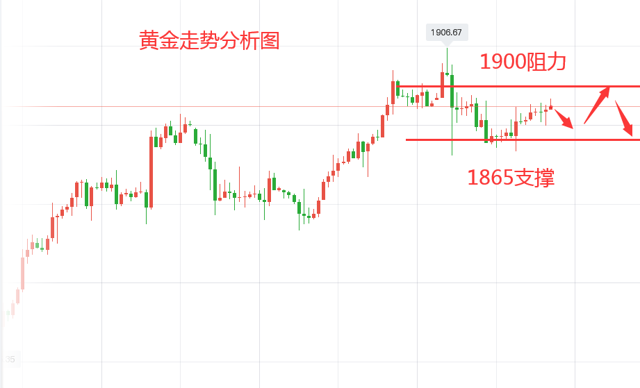 贵金属实时走势(贵金属今日行情走势图)