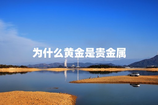 广贵贵金属(贵金属集团公司概况)