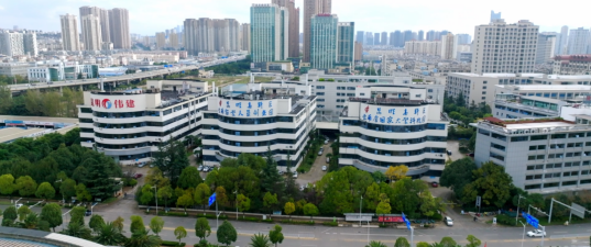 云南省贵金属(云南省贵金属新材料控股集团有限公司)